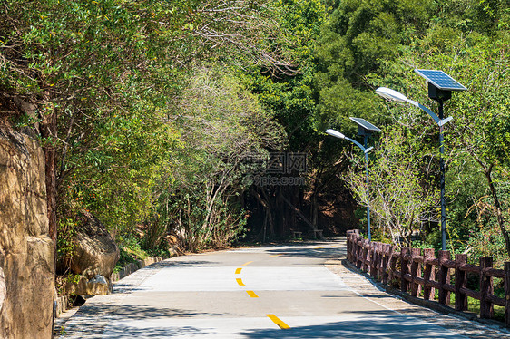 厦门植物园景区内的环山公路图片