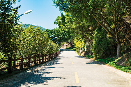 厦门植物园景区内的环山公路图片