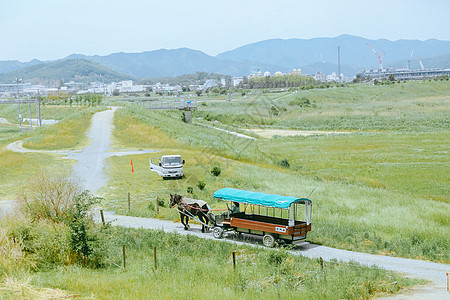 日本京都岚山风光图片