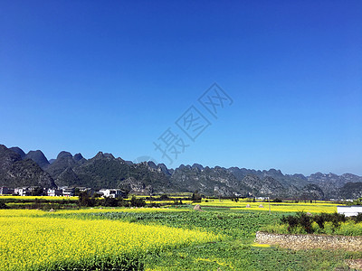 湖南湘西乡村油菜花图片