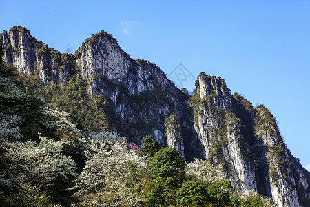 大山深处（什么山写一下）图片