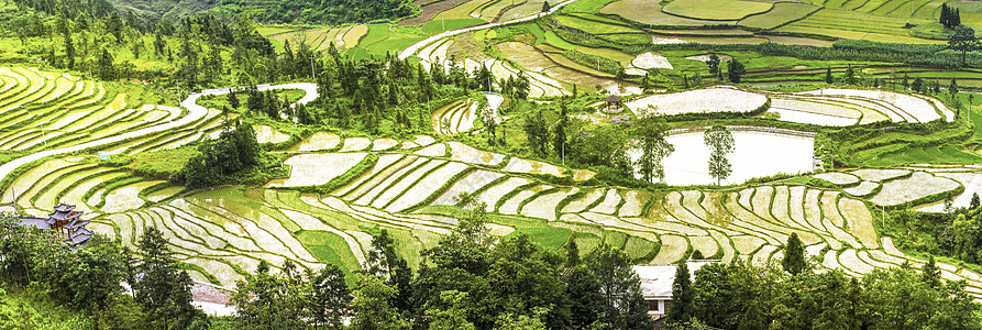 农村梯田梯田背景