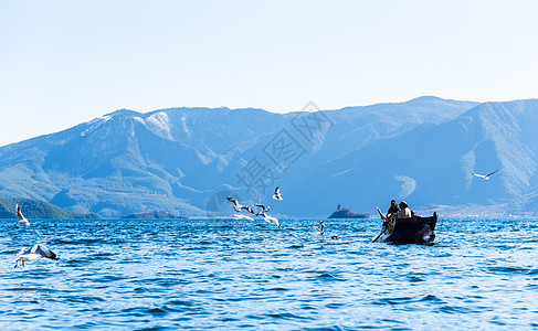 小船与海鸥云南泸沽湖风光背景