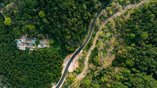 槐树林森林公园雨后的福州森林公园公路航拍背景