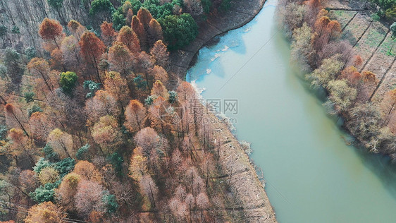 上海海湾森林公园图片