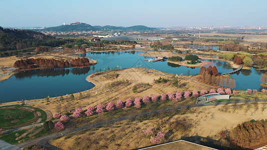 辰山植物园绿化图片