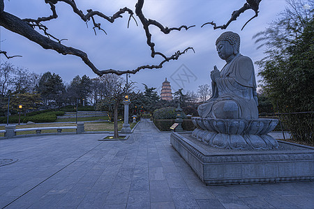 大雁塔广场西安大雁塔樱花广场蓝调时刻背景