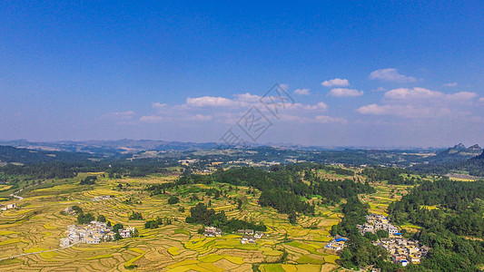 贵州油菜花贵州独山下司镇田园风光背景