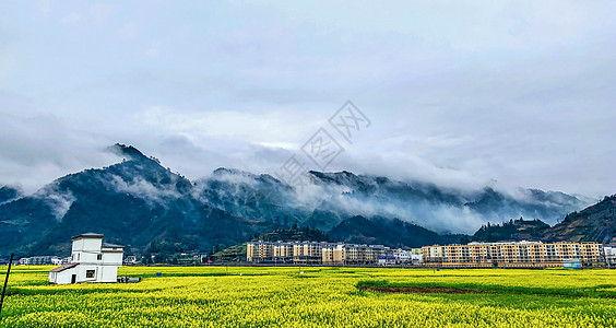 贵州铜仁瓦屋油菜花背景