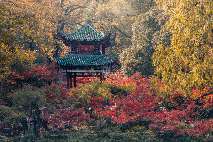 长沙岳麓山爱晚亭秋景高清图片下载-正版图片-摄