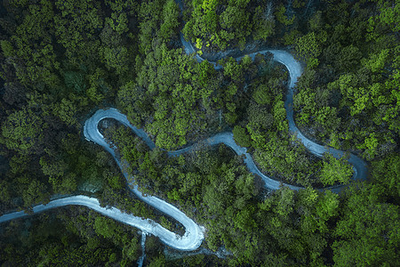 绿色道路航拍蜿蜒道路与森林背景