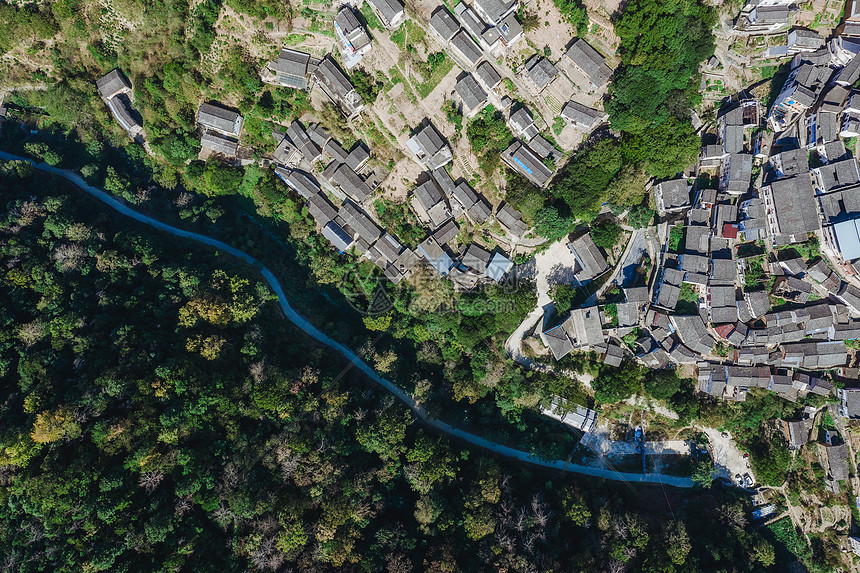 航拍蜿蜒道路与森林图片