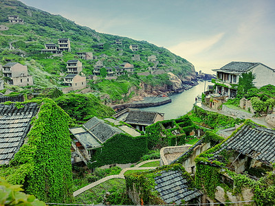 无人村植物椰山岛高清图片