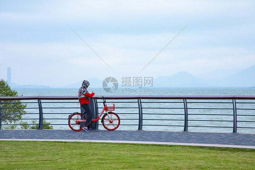 深圳湾骑行图片