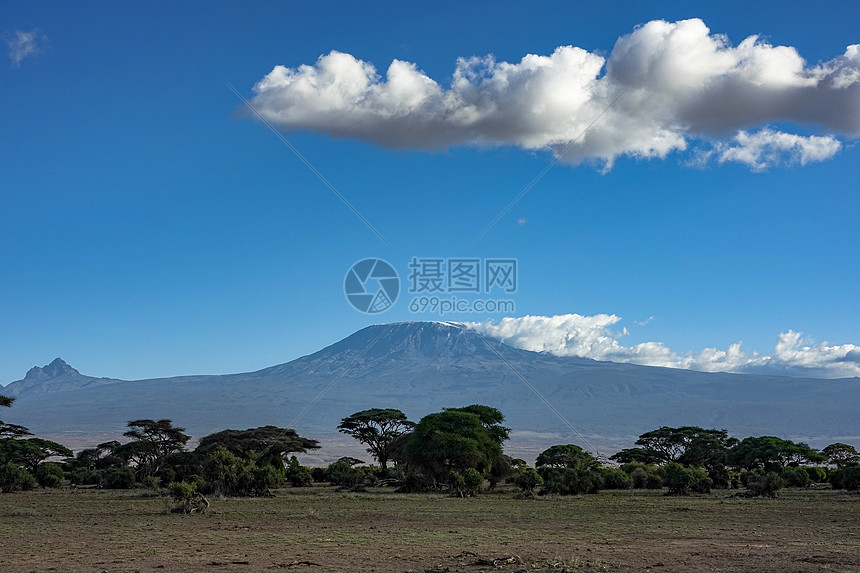 非洲草原乞力马扎罗山