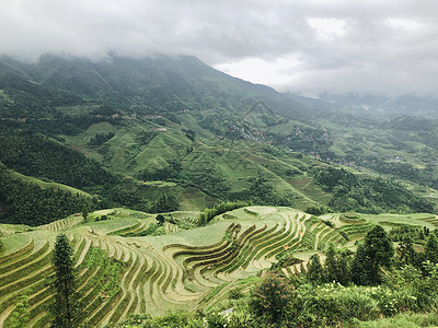 龙脊梯田自驾旅行高清图片