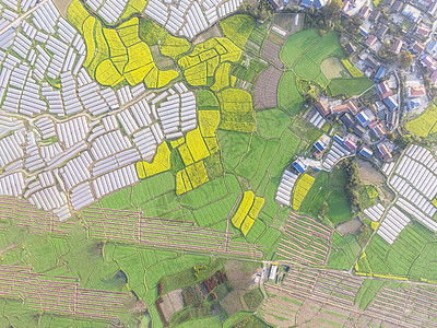航拍大棚农业种植基地图片
