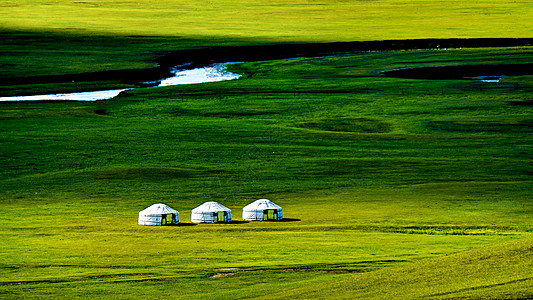 蒙古包手绘呼伦贝尔大草原莫日格勒河蒙古包背景