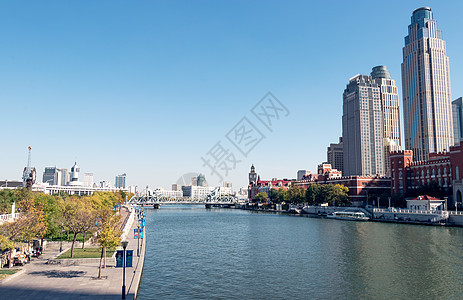 天津海河建筑城市图片