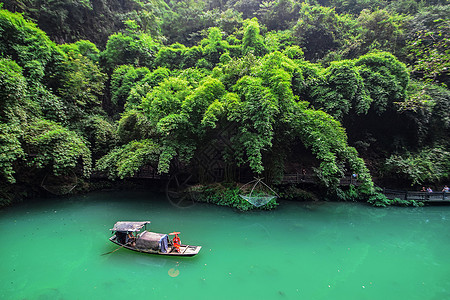 绿色植物树木湖北省宜昌山水三峡人家背景