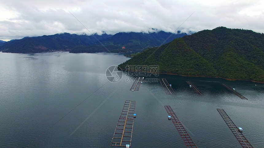 千岛湖鱼子酱养殖基地图片