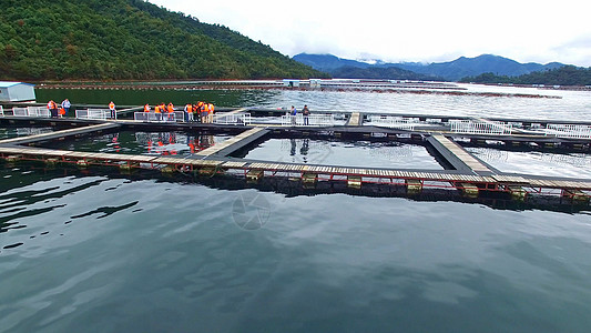 手写中国千岛湖千岛湖鱼子酱养殖基地背景