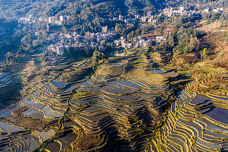 梯田鸟瞰云南元阳梯田背景