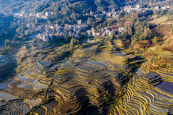 云南元阳梯田图片