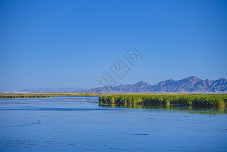 青海高原湿地风景背景