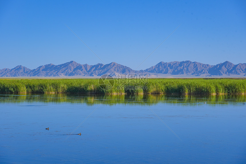 青海高原湿地风景图片