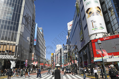 日本城市繁华的东京涉谷商业街街景背景