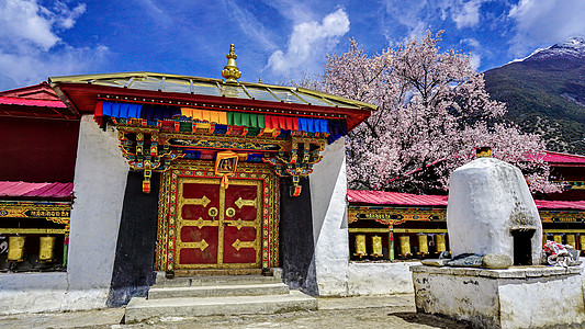 春天桃花风景西藏林芝波密寺庙里的桃花背景