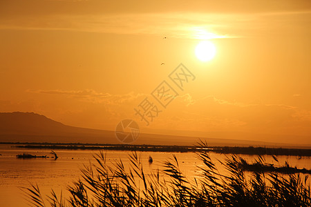 新疆湖边新疆海上魔鬼城湖边傍晚夕阳风光背景