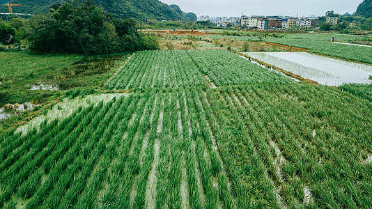 航拍春耕乡间农田图片