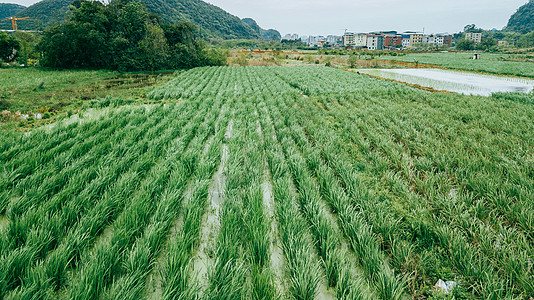 航拍春耕乡间农田郊区风景田园风光图片