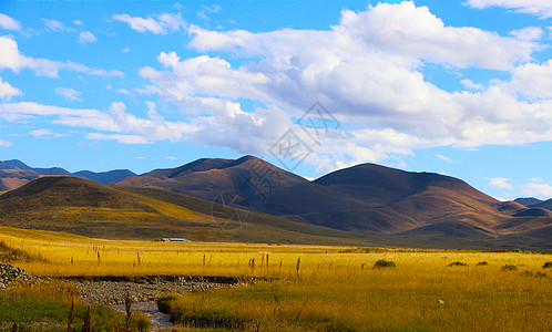 彩虹渐变干净的桑科草原背景