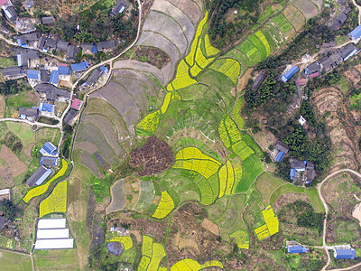 俯拍湖南湘西乡村种植基地背景图片