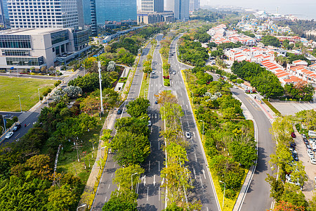 厦门观音山道路背景图片