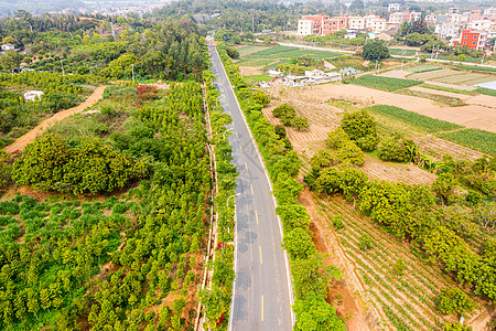 乡间小路图片