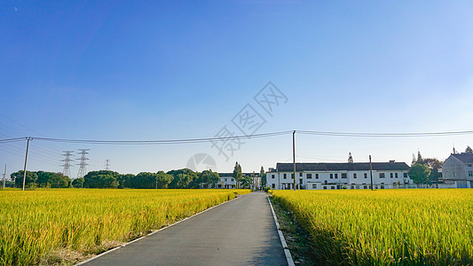 上海郊区农田与村庄小路高清图片