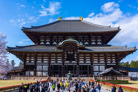 日本佛日本奈良东大寺大殿背景