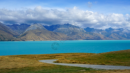 世界牛奶日新西兰普卡基湖牛奶湖清晨背景