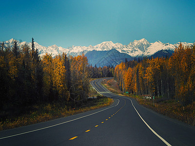 秋景公路美国阿拉斯加公路背景