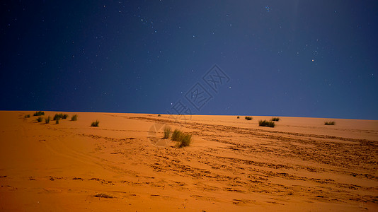 夜色中的撒哈拉沙漠图片