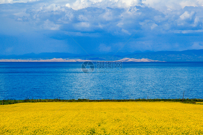 青海湖油菜花海美景图片