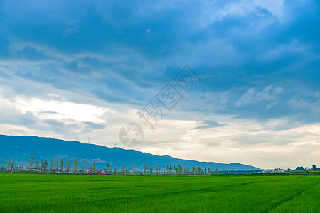 云南曲靖麒麟水乡风景区图片