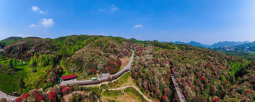 贵州毕节百里杜鹃风景区航拍