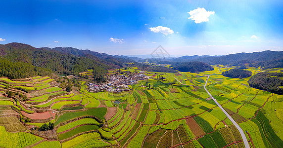 云南玉溪峨山油菜花田航拍图片