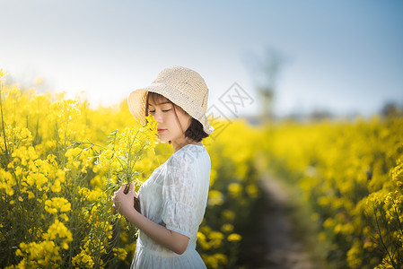 四月踏青油菜花春景美女背景