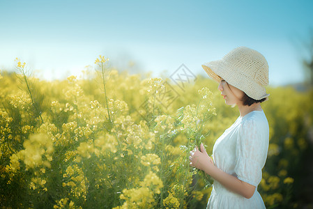 手绘花海油菜花春景野外郊游美女背景